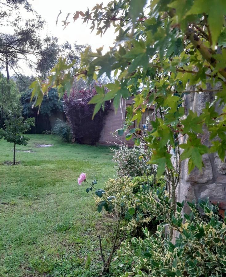 Cabanas Farah Estancia Vieja Ideal Para 2 A 3 Huespedes ヴィラ・カルロス・パス エクステリア 写真