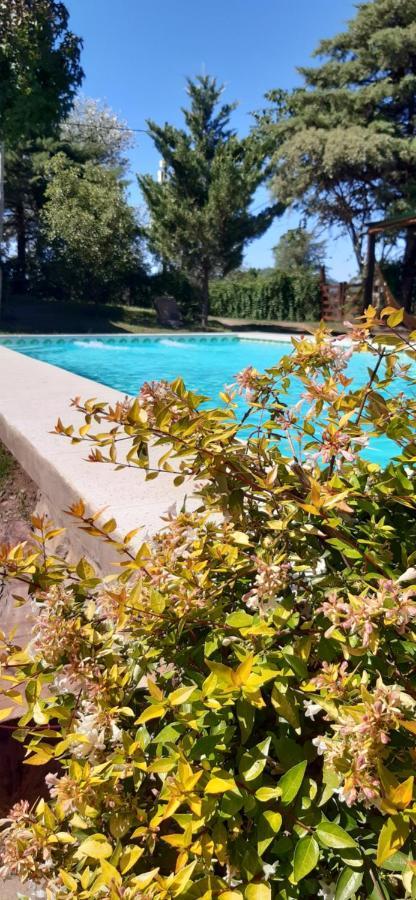 Cabanas Farah Estancia Vieja Ideal Para 2 A 3 Huespedes ヴィラ・カルロス・パス エクステリア 写真