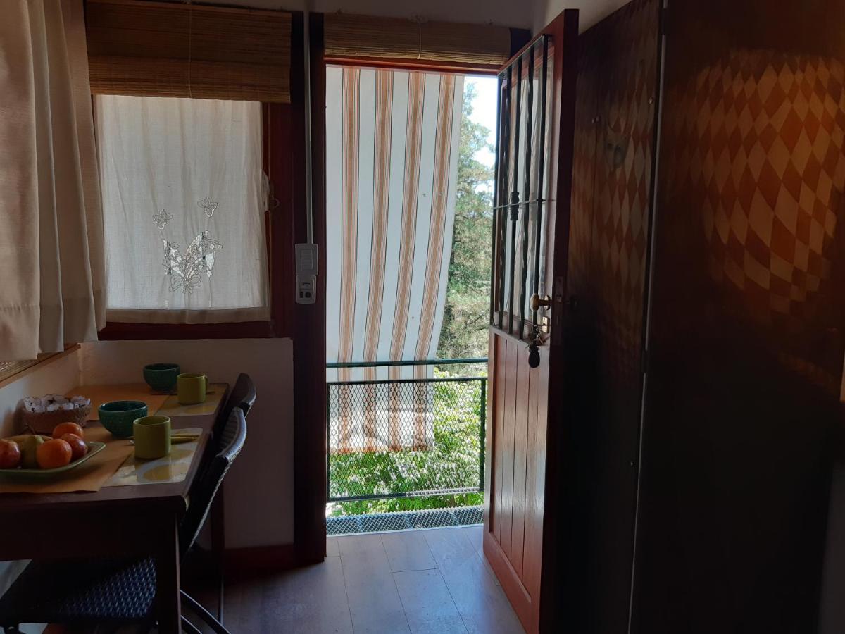 Cabanas Farah Estancia Vieja Ideal Para 2 A 3 Huespedes ヴィラ・カルロス・パス エクステリア 写真
