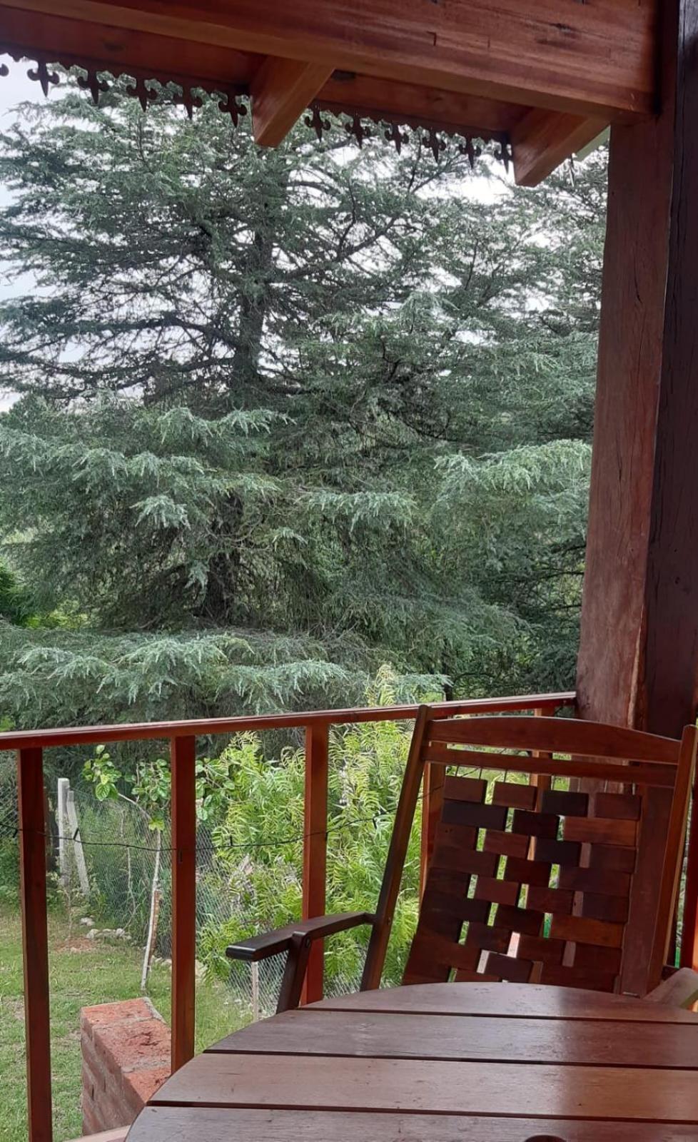 Cabanas Farah Estancia Vieja Ideal Para 2 A 3 Huespedes ヴィラ・カルロス・パス 部屋 写真