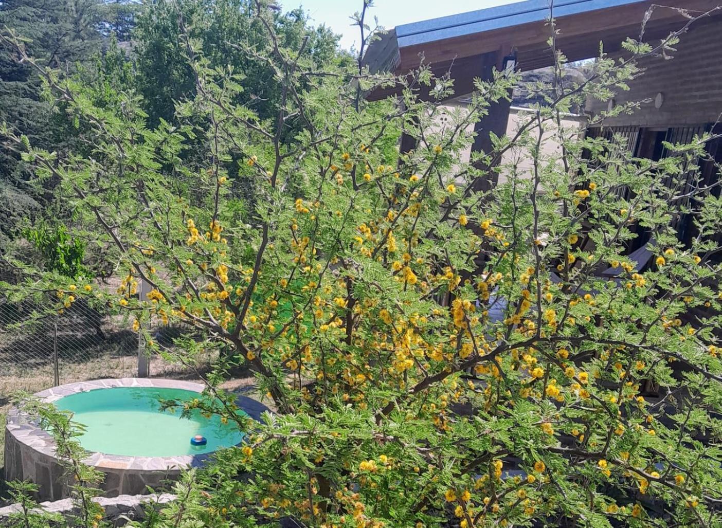 Cabanas Farah Estancia Vieja Ideal Para 2 A 3 Huespedes ヴィラ・カルロス・パス 部屋 写真